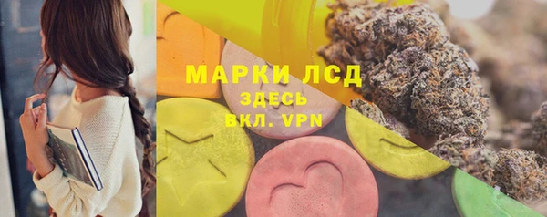 PSILOCYBIN Беломорск